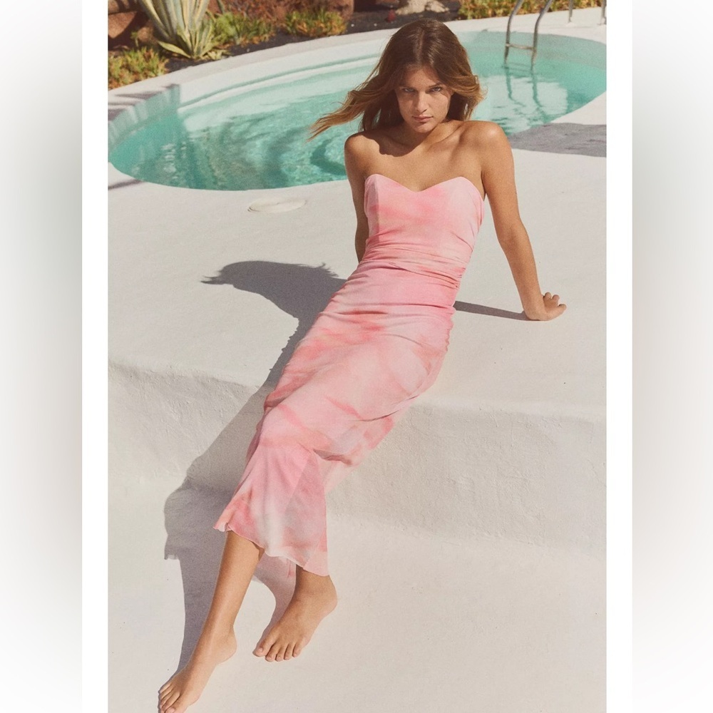 Zara Strapless Printed Tulle Dress